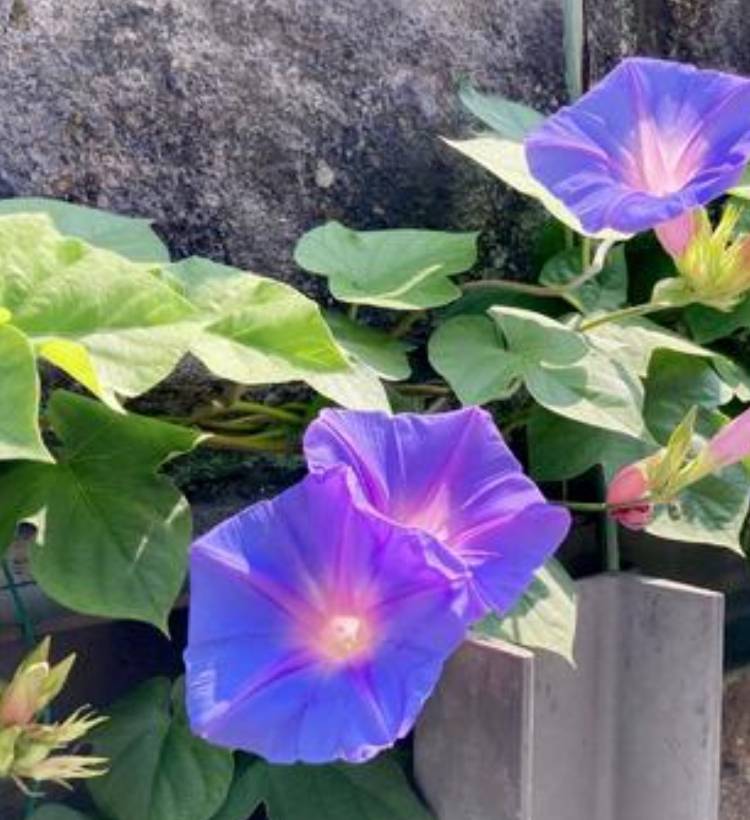 ☆おはようございます☆