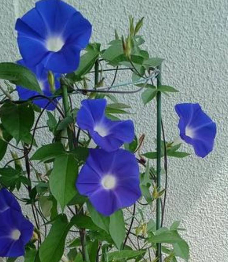 ☆おはようございます☆
