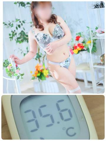 こんにちは(*´ω｀*)ノ))