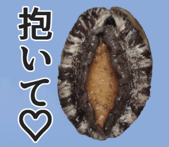 9月1日