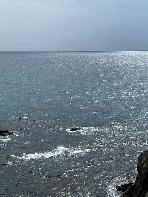 やっと見てきました