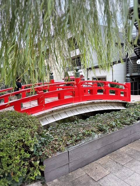 奥空透子