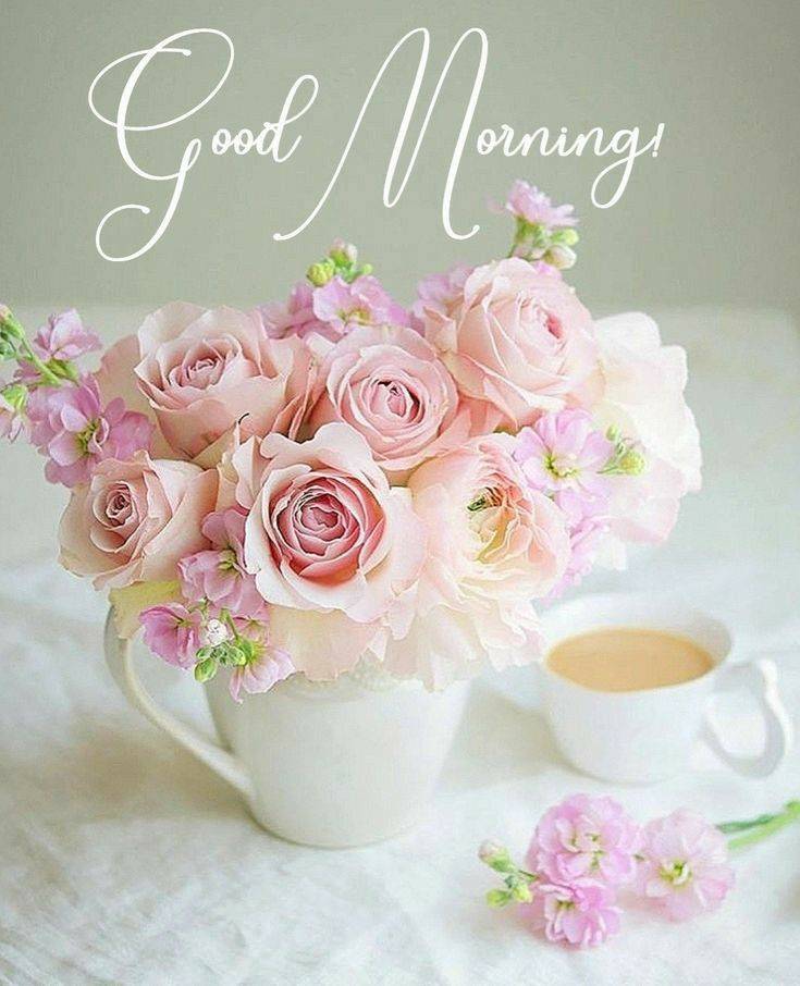 ☆おはようございます☆