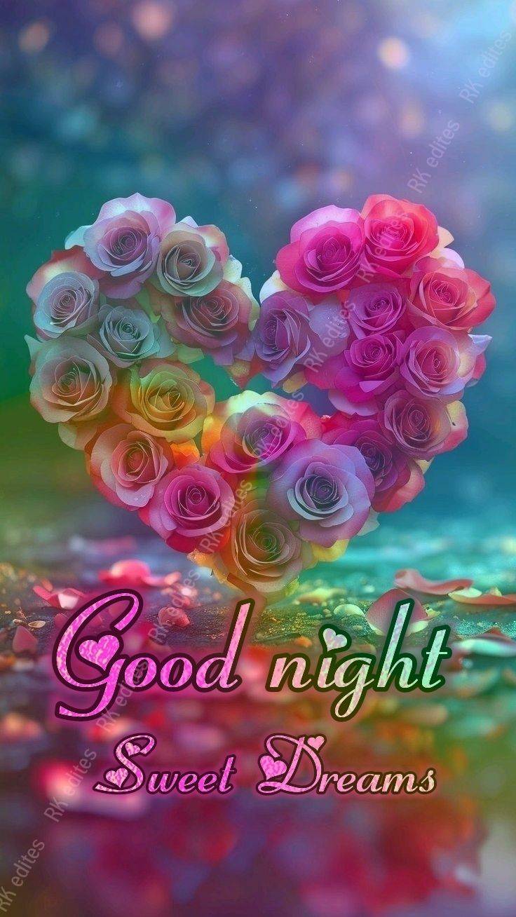 ☆おやすみなさい☆