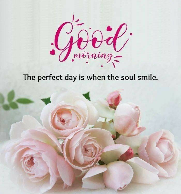 ☆おはようございます☆