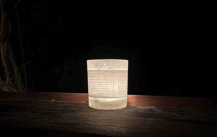 昨夜の感謝です