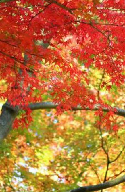 ☆こんばんは☆