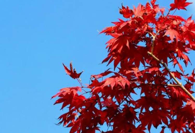 ☆こんばんは☆