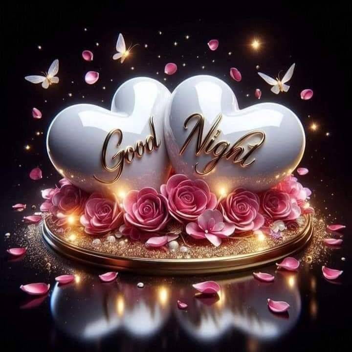 ☆おやすみなさい☆