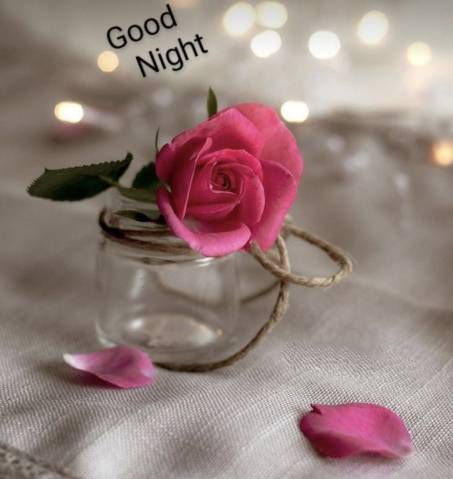 ありがとうございました