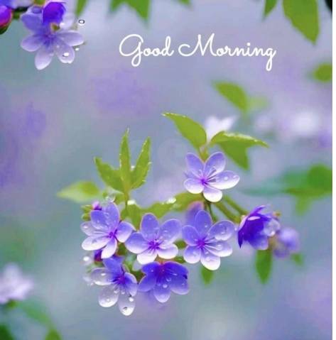 おはようございます