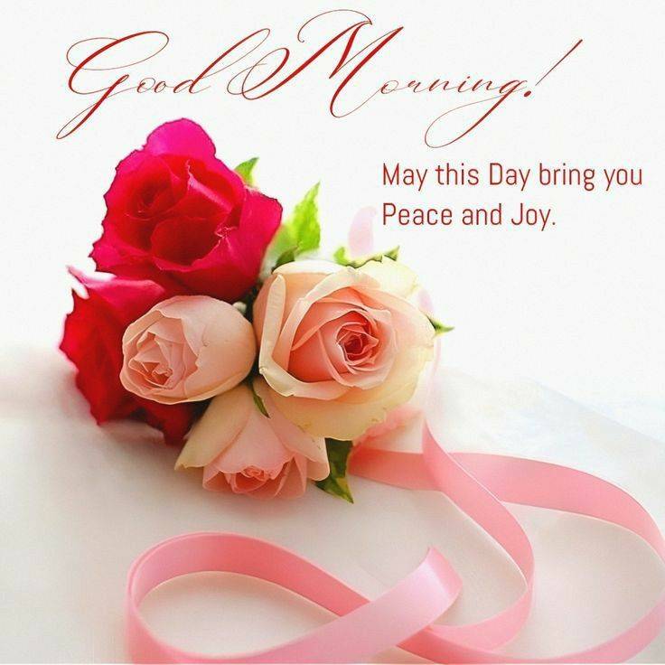 ☆おはようございます☆