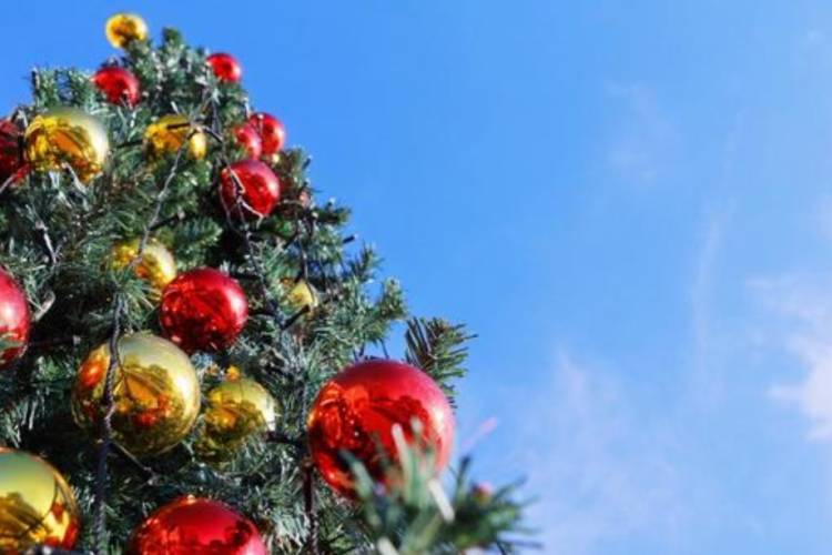 ☆こんばんは☆