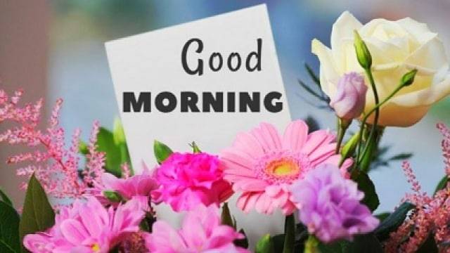 ☆おはようございます☆