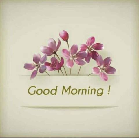 今日、夕方から出勤します