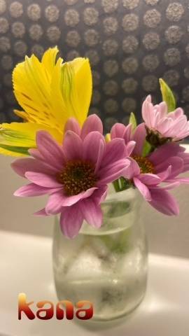 明日のご予約様へ♪♪