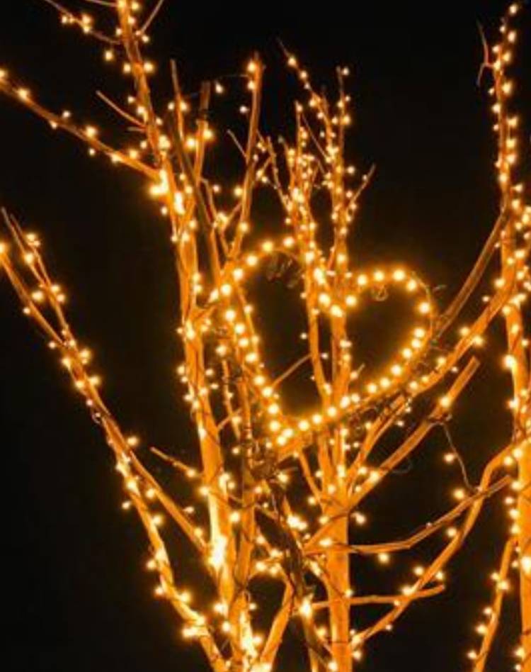 ☆こんばんは☆