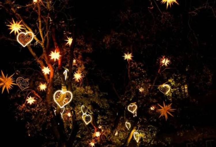 ☆こんばんは☆