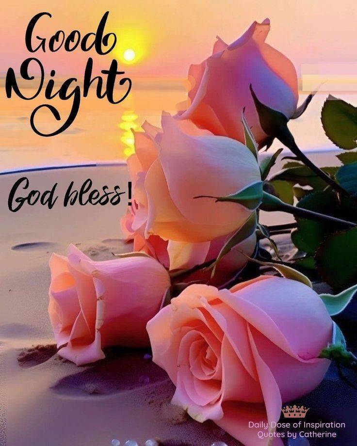 ☆こんばんは☆