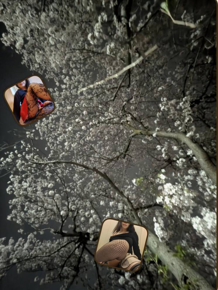野村咲凪