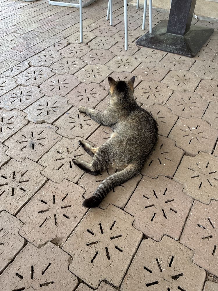 奥空透子