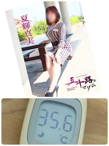夏輝真実