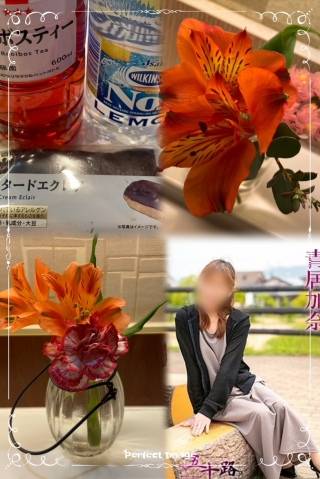 青居加奈