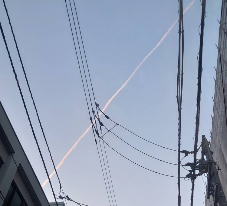 武田あず