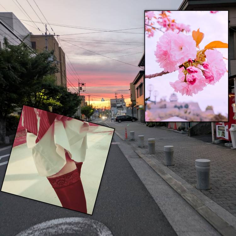 Ｙさま 昨日のお礼です♪