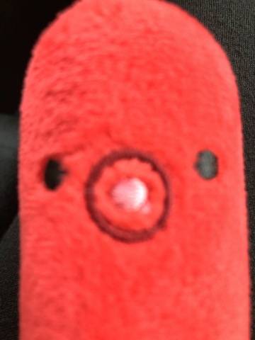 赤井志穂