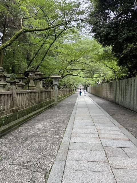 奥空透子