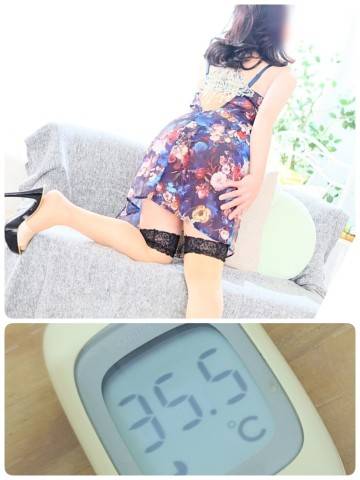 夏輝真実