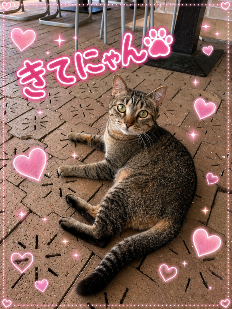 今日から8月 