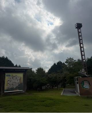 朝岡陽子