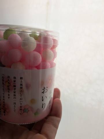 朝井 楓