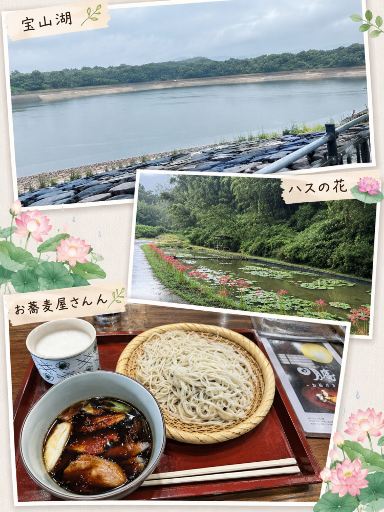 感謝🙏✨️