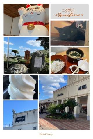 青居加奈