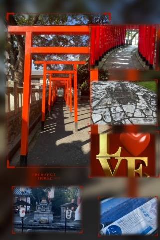 青居加奈
