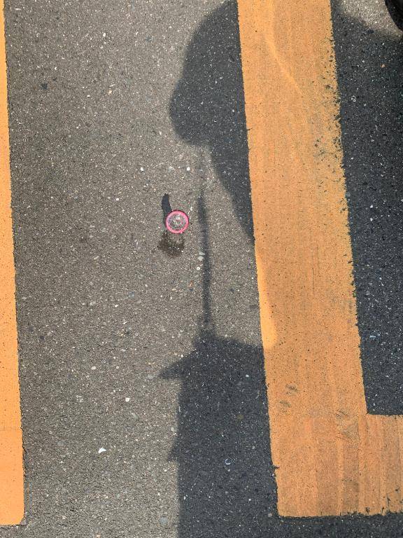 帰宅後…