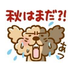 マジでキツイ…