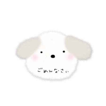 申し訳ないです