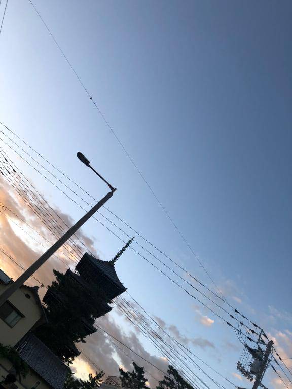 善通寺?