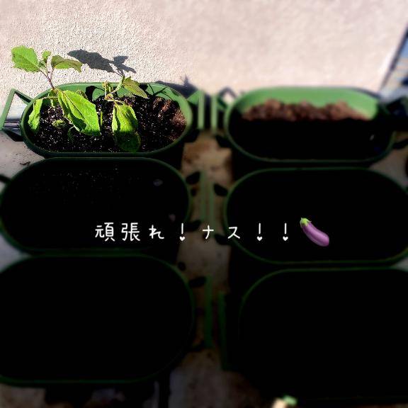 こんにちは?
