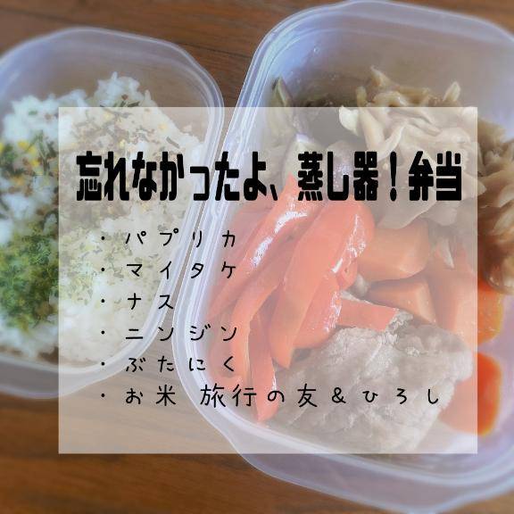 おはようございます?
