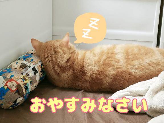 おぅ