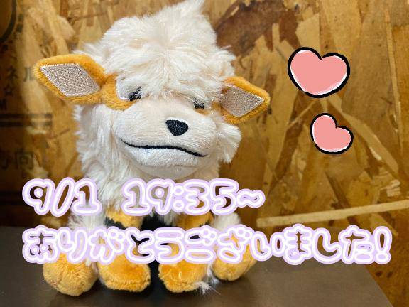 わたしと同業のお仕事を夢見る歳下のあなたへ?(09.01 19時35分-)