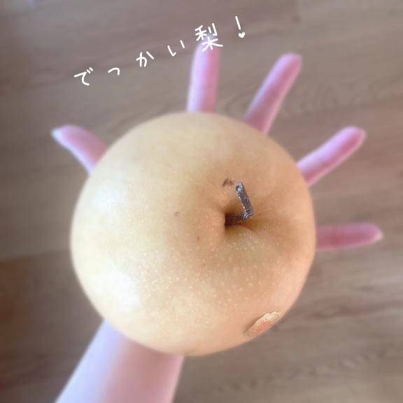 おはようございます??