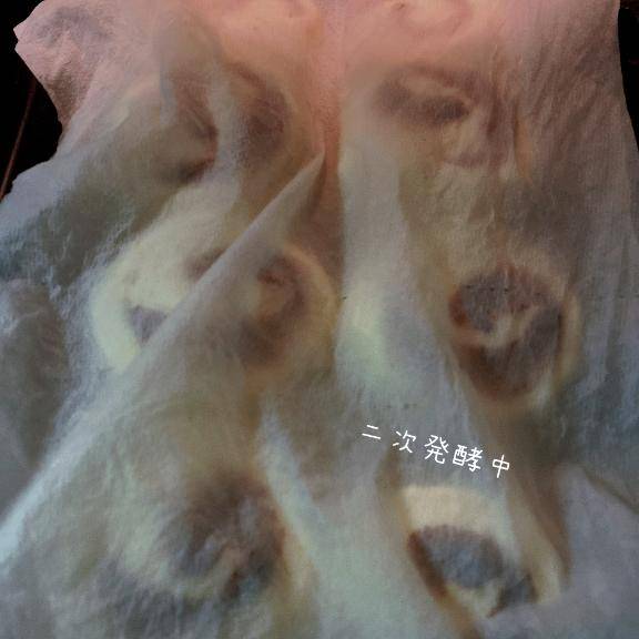 おはようございます?