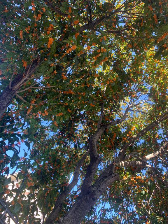 本日出勤?( ??? )?