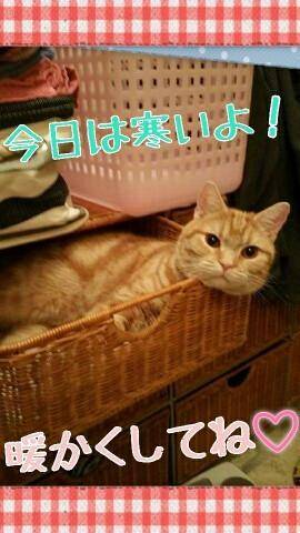 [お題]from:columbooさん